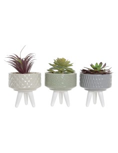 PLANTA GRES PVC 11,5X11,5X18 3 SURT.